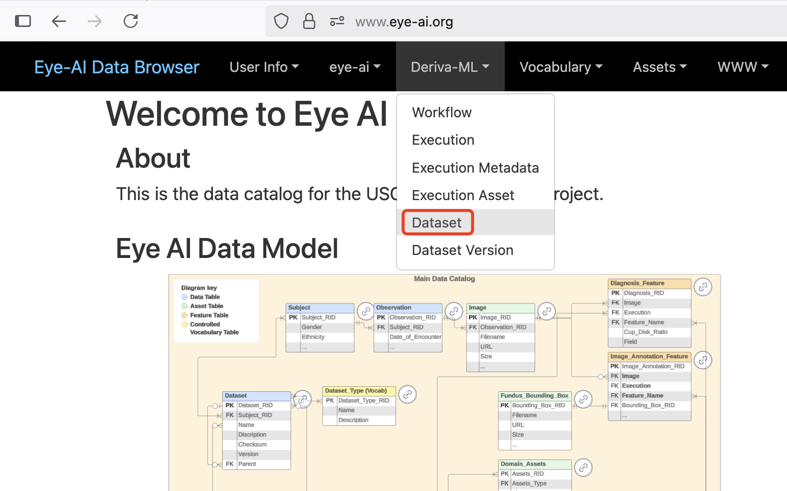 Homepage dataset